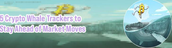 Whale watcher crypto