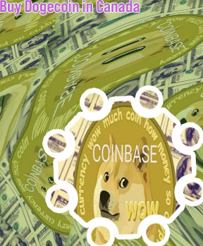 Why can't you buy dogecoin on coinbase
